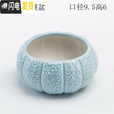 三维工匠少女心创意个性中大号口径拇指好看的多肉植物花盆器陶瓷 浅蓝珊瑚盆 中等花盆容器