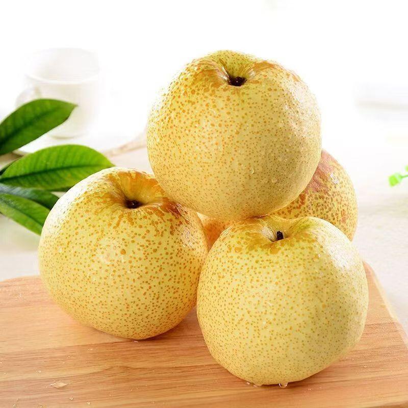 [西沛生鲜]新鲜云南雪花梨 3斤 大果 单果200g+ 应当季整箱翠冠梨香酥雪梨青皮皇冠