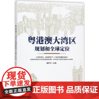 粤港澳大湾区规划和全球定位国世平 主编WX