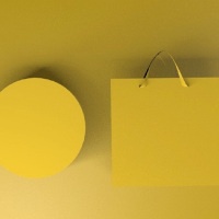 收纳盒直径300mm高度60mm(带手提袋)