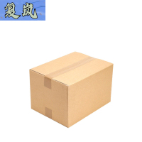 复岚 纸箱 195*105*135mm/个