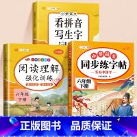 [六年级下]练字帖+看拼音写词语+阅读理解 [正版]小学语文同步练字帖一年级二年级下册三四五六年级人教版字帖每日一练硬笔