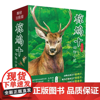 椋鸠十动物小说(美绘注音版)全6册 6~10岁动物小说界的安徒生语文书中的文学大师椋鸠十的动物世界领略大自然的壮阔与力量