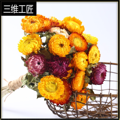 干花真花云南麦杆菊七彩菊小菊花家居装饰干花束满天星三维工匠麦秆菊彩色一束（20朵）干树枝