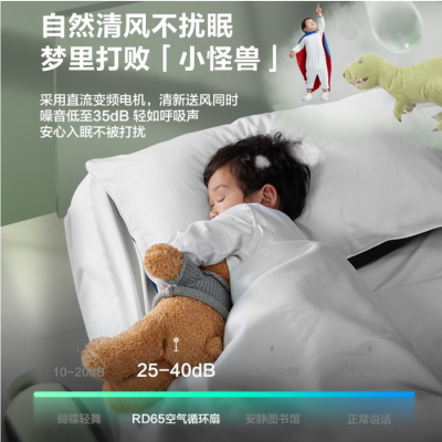 艾美特(Airmate)空气循环扇星球节能落地大风量直流变频家用电风扇智能遥控定时台立式风扇FA18-RD65(白色)