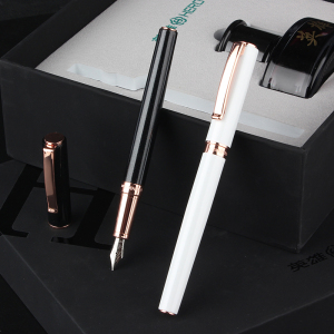 英雄（HERO）钢笔商务办公铱金钢笔 珠光喷漆笔身简约型墨水礼盒套装8207