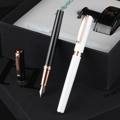 英雄（HERO）钢笔商务办公铱金钢笔 珠光喷漆笔身简约型墨水礼盒套装8207