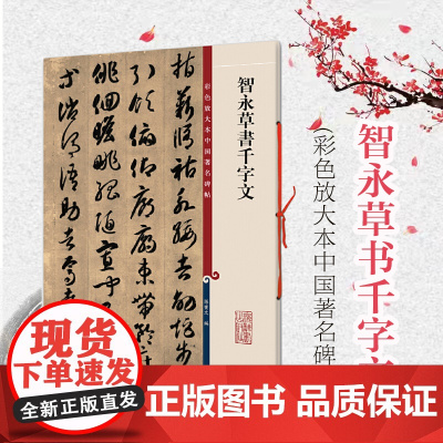 智永草书千字文 彩色放大本中国著名碑帖孙宝文编上海辞书出版社 书法篆刻碑帖鉴赏毛笔字练习临摹字帖