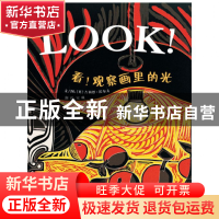 正版 看观察画里的光(精) (英)吉莉恩·沃尔夫|译者:宋珮 河北教育