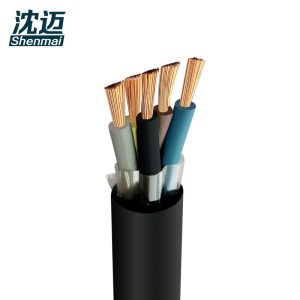 沈迈 防水软电线 JHS-450/750V-5*16平方毫米 米