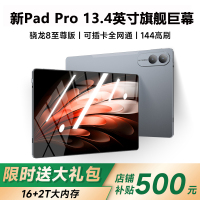 新三星官13.4英寸平板电脑24GB+2T 性能款骁龙至尊版芯片4K护眼全面屏娱乐游戏网课学习办公新款