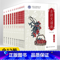 全12册古诗文诵读1-6年级上下册 小学通用 [正版]北大附小古诗文诵读全12册一二三四五六年级上下册尹超主编北京大学附