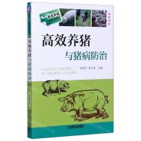 [N]高效养猪与猪病防治(双色印刷)/高效养殖致富直通车-9787111442646