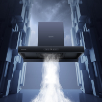 华帝 百得(BEST) JDC06 欧式烟机 25立方 挥手感应 热炫洗