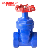 卡西斯顿 铸铁丝扣闸阀 DN40 个