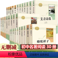[人教版 31册]七八九年级上下册初中名著全套 [正版]初中生必读名著十二本课外阅读书籍人民教育出版社西游记朝花夕拾鲁迅