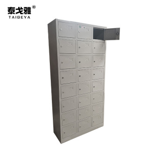 泰戈雅 加厚更衣柜鞋柜存包柜储物柜 24门 台