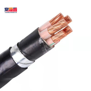 常顺鑫 低压铜芯电缆ZC-YJV22 0.6/1KV 5×10 米