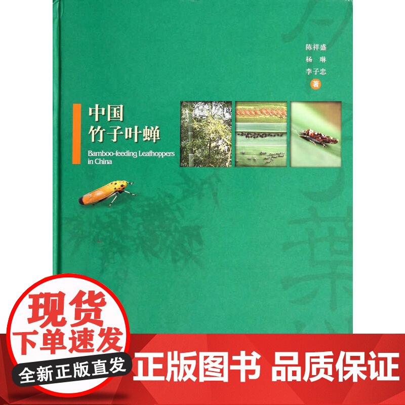 [正版书籍]中国竹子叶蝉