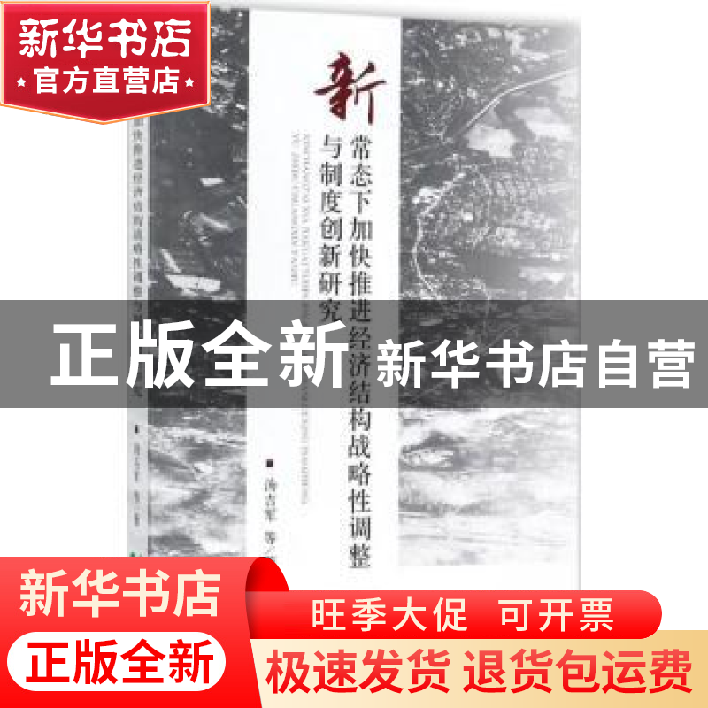 正版 新常态下加快推进经济结构战略性调整与制度创新研究 汤吉军