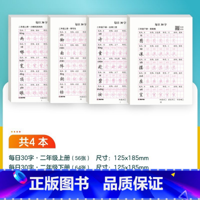 [语文]二年级上+二年级下 [正版]优美句子积累字帖小学生练字帖儿童每日一练比喻拟人好词好句作文练习减压语文同步人教版生