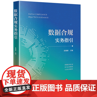 正版 数据合规实务指引 朱晓娟 主编 法律出版社