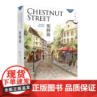 栗树街(梅芙·宾奇作品系列) 梅芙·宾奇 浙江文艺出版社 正版书籍