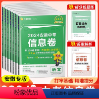 语文+数学+英语[3本] 安徽省 [正版]2024金考卷安徽中考信息卷中考考向卷百校联盟中考押题卷历年真题信息卷中考复习