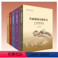 [正版]纪录小康社会系列丛书(共5册)
