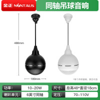 金正定压室内吊球音响[单音响20W需搭配功放使用]商铺店铺蓝牙墙壁喇叭客厅装修挂墙吊顶背景音乐公共广播立体声无需天花开孔