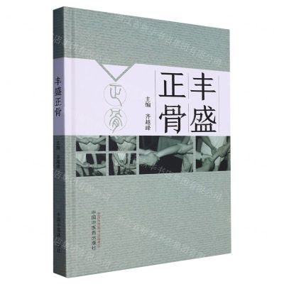 [N]丰盛正骨(精)-9787513280983