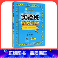 语文[人教版] 五年级下 [正版]2024新版实验班提优训练一年级二年级三年级上册四年级五六年级下语文数学英语人教版苏教