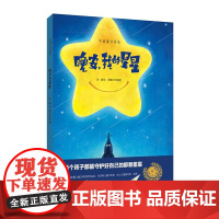 晚安,我的星星 第三辑 可以读读写写画画的绘本 分星星 让孩子自己讲故事 上海教育出版社