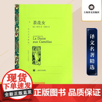 茶花女 小仲马著 王振孙译 译文名著精选 世界名著 法国文学小说 经典读物 上海译文出版社 正版
