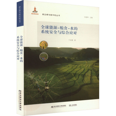 全球能源-粮食-水的系统安全与综合应对