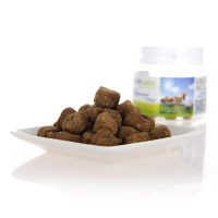 浓缩卵磷脂80g狗狗美毛护肤泰迪幼犬宠物亮毛增色宠物美毛