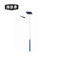 维思泰 太阳能路灯 WST-QLD10 个