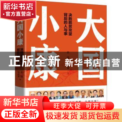 正版 大国小康(决胜脱贫攻坚背后的人与事) 余玮,吴志菲著 天地