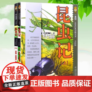 昆虫记 美绘版全集套装 上下2册 世界经典动物名著 法布尔著王光选译 中国少年儿童出版社 青儿童文学科普读物 彩图 科普