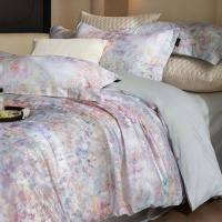 秋冬季印花高支高密100S碳素磨毛四件套加厚保暖纯棉床上用品套件