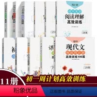 11册语文+数学+英语周计划 七年级 [正版]初中七年级数学专项训练初一计算题思维训练周计划高效练习下册下同步练习册7练