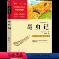 昆虫记 [正版]昆虫记法布尔原著四年级必读二年级三年级五年级中国人民儿童读物少年课外书文学八年级人教版小学生课外阅读时代