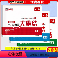 [3本套装]语文+数学+英语 小学升初中 [正版]2024新版小升初考卷大集结冲刺新卷小学升初中语文数学英语总复习资料专