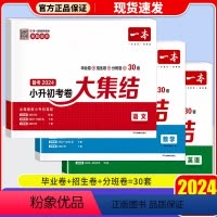 [3本套装]语文+数学+英语 小学升初中 [正版]2024新版小升初考卷大集结冲刺新卷小学升初中语文数学英语总复习资料专