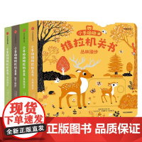 小手动动推拉机关书 四季特辑4册装 埃米尔·哈雅西 绘 儿童文学