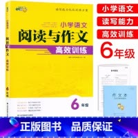 阅读与作文 小学六年级 [正版]2024小桔豆小学语文阅读与作文高效训练六6年级上下册通用 小学6年级语文读写能力优化训