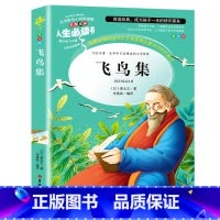 飞鸟集--新版语文课程标准 名师点评 阅读理解 扫除阅读障碍 提升学生阅读兴趣 彩图美绘版 [正版]飞鸟集泰戈尔原著小学