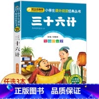 三十六计 [正版]科学家的故事注音版书 中外名人故事100个 二年级课外书必读老师经典书目 小学生语文课外阅读书籍 7-