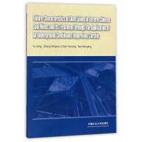 华东矿区井壁破坏特征与地下连续隔水帷幕的应用治理