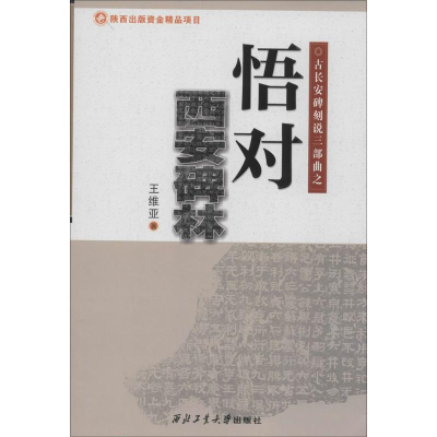 [M]悟对西安碑林-9787561241776